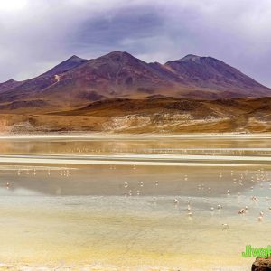 Uyuni Salt Flats -3DAY (5)