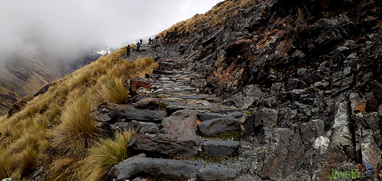 Choro trek – Bolivia (4)