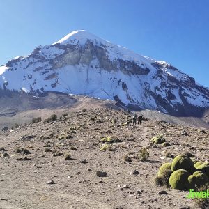 Escalada SAJAMA (1)