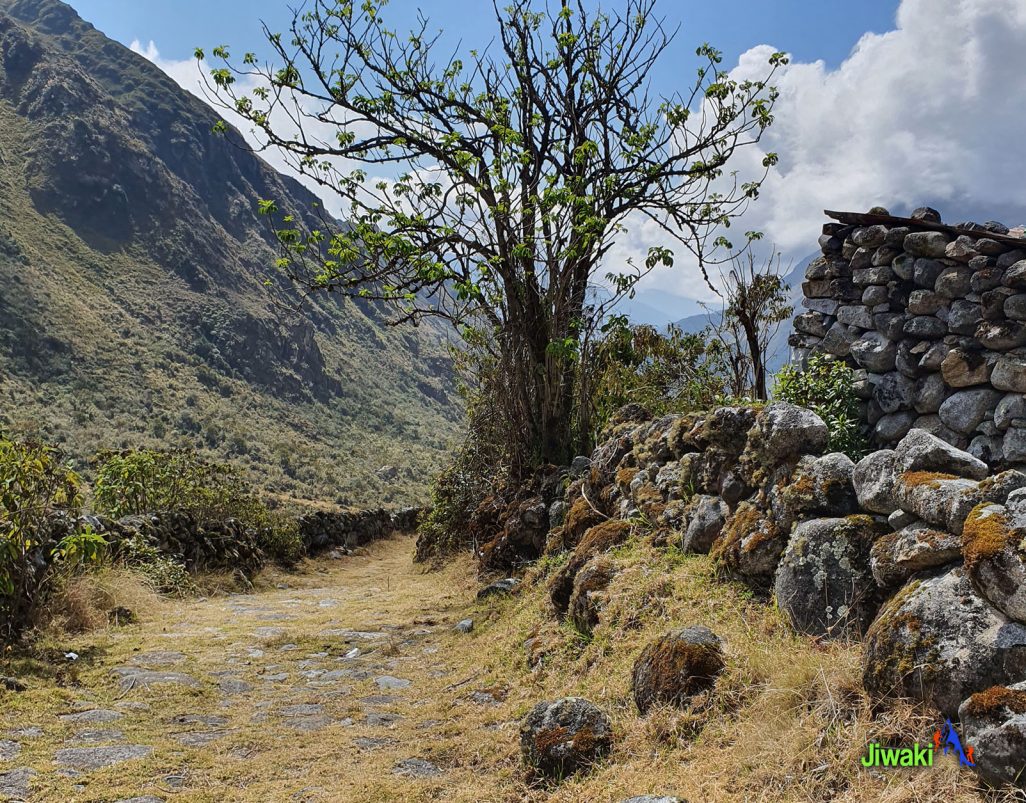 INKA TRAIL