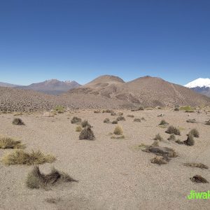 Mountaineering Sajama (3)