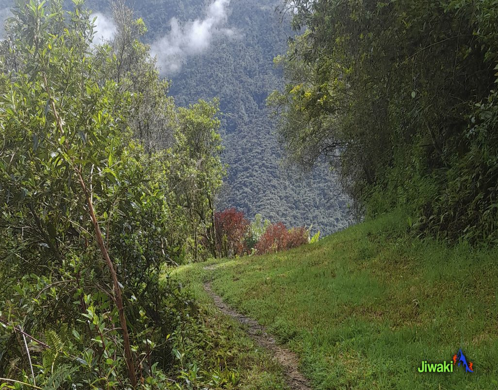 trekking choro Bolivia