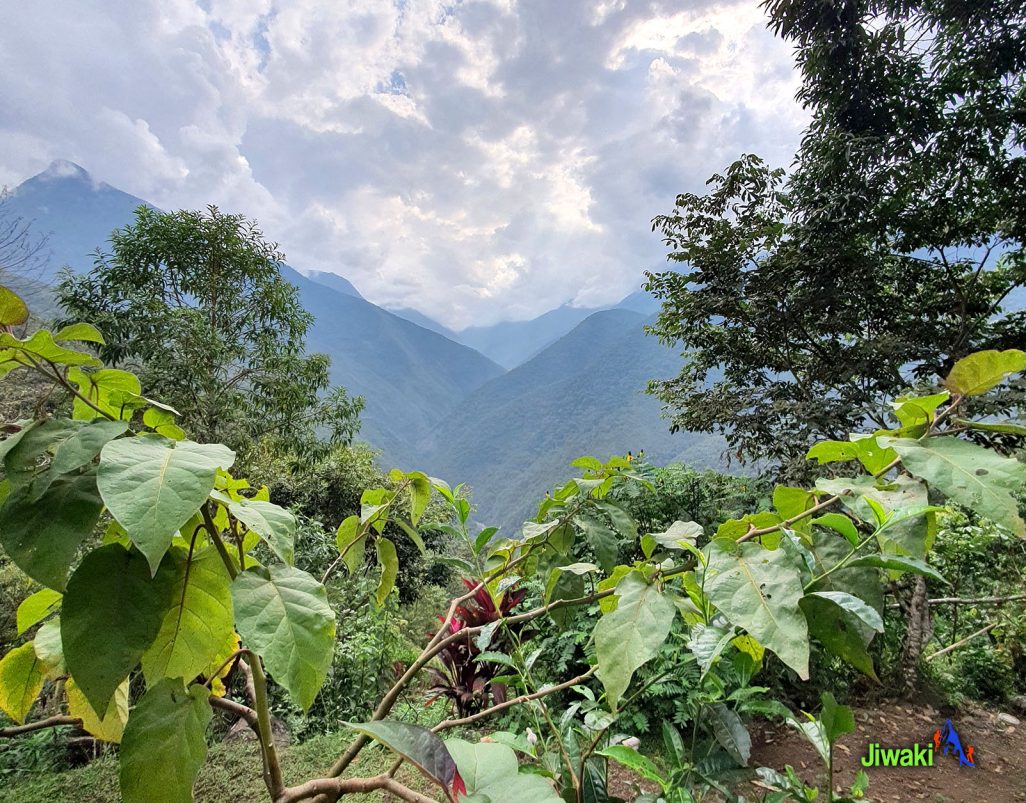 trekking choro Bolivia