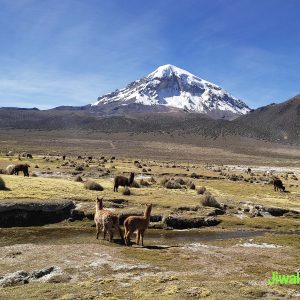 highest peak in Bolivia (4)