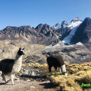 TREKKING IN BOLIVIA (6)