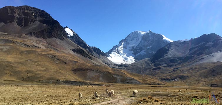 Trekking Cordillera Real (2)