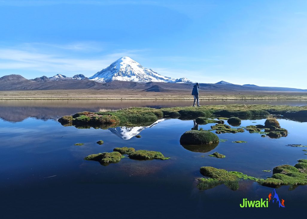 Parque Nacional De Sajama (4)