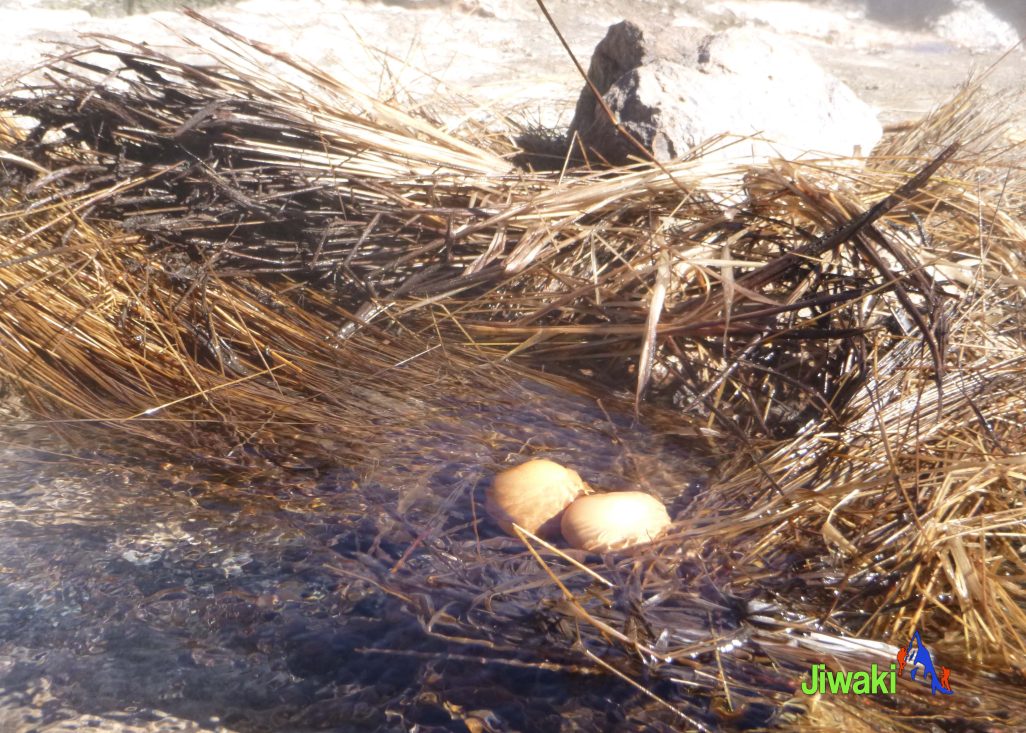 Sajama National Park, GEISERS (1)