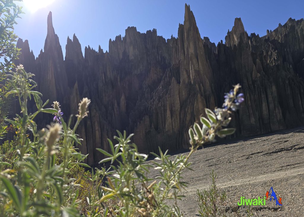 valle de las animas (3)