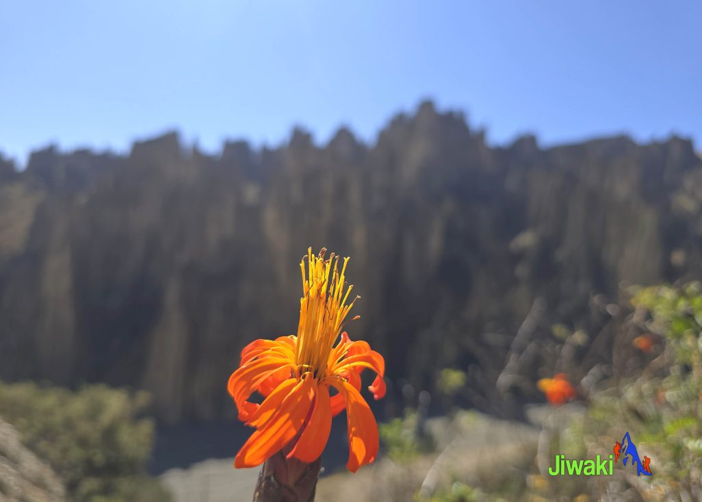 valle de las animas (4)