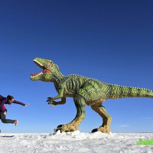 Bolivia Salt Flats tour (2)