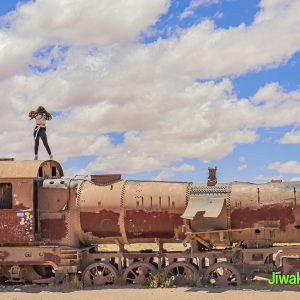 Uyuni Salt Flats tour (4)